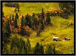 Płaskowyż, Seiser Alm, Dolina Val Gardena, Wzgórza, Łąki, Drewniane, Domy, Drzewa, Włochy