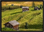 Płaskowyż Seiser Alm, Dolina Val Gardena, Wzgórza, Łąki, Drewniane, Domki, Drzewa, Włochy