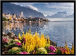 Jezioro Genewskie, Rośliny, Klomb, Góry, Krajobraz, Montreux, Szwajcaria