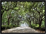 Georgia, Savannah, Forsyth, Park