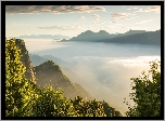 Tajwan, Gmina Alishan, Góry Alishan, Mgła, Drzewa