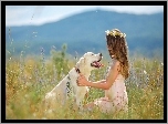 Pies, Golden Retriever, Dziewczynka, Wianek, Łąka, Zabawa