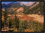 Góry, Góry Skaliste, Drzewa, Park Narodowy Gór Skalistych, Kolorado, Stany Zjednoczone