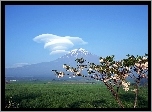 Góra, Fuji, Fantazyjna, Chmura