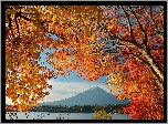 Góra, Fuji, Gałęzie, Japonia