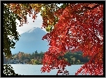 Góra, Fuji, Gałęzie, Japonia