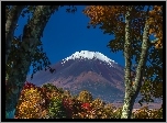 Góra, Fuji, Drzewa, Japonia, Wulkan