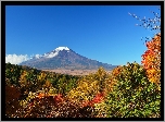 Góra, Fuji, Krzewy, Japonia, Wulkan