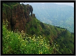 Góra, Kwiatki, Mahabaleshwar, Indie