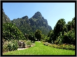 Góra, Stołowa, Park, Kirstenbosch