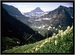 Góry