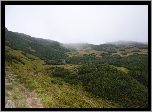 Góry