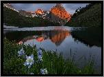 Góry, San Juan Mountains, Góra Sneffels, Jezioro, Blue Lake, Łąka, Kwiaty, Orlik niebieski, Stan Kolorado, Stany Zjednoczone