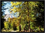 Góry, Park, Alejka, Ławka