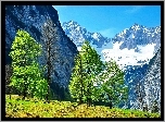 Góry, Śnieg, Drzewa, Alpy, Austria