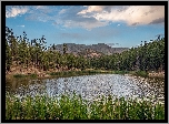 Góry, Jezioro, Hulsey Lake, Drzewa, Trawa, Arizona, Stany Zjednoczone