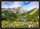 Austria, Góry, Jezioro Zireiner See, Wzgórza, Konary