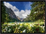 Kanada, Prowincja Alberta, Park Narodowy Banff, Góry, Jezioro Lake Louise, Drzewa