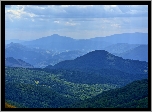 Bieszczady, Góry, Góra Tarnica, Wzgórza, Lasy, Polska