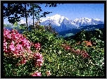 Góry, Mont Blanc, Francja