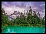 Góry, Canadian Rockies, Las, Drzewa, Jezioro, Emerald Lake, Park Narodowy Yoho, Chmury, Kolumbia Brytyjska, Kanada