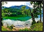 Góry, Jezioro, Brzeg, Drzewa