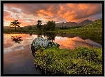 Góry, Jezioro, Kelly Hall Tarn, Drzewa, Zachód słońca, Chmury, Anglia