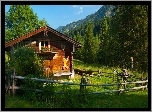 Góry, Lasy, Domek, Łąka