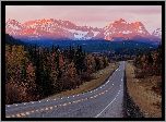 Droga, Góry Skaliste, Lasy, Drzewa, Alberta, Kanada