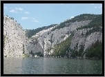 Góry, Drzewa