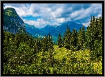 Góry, Dolina, Drzewa, Chmury