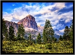 Góry Alpy, Dolomity, Drzewa, Włochy