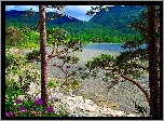 Góry, Jezioro, Drzewa, Irlandia