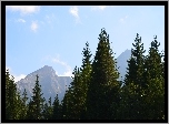 Drzewa, Góry, Niebo