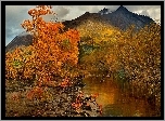 Góry, Rzeczka, Drzewa, Jesień