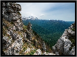 Góry, Skały, Drzewa, Trawa