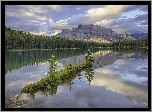 Góry, Mount Rundle, Jezioro Two Jack Lake, Park Narodowy Banff, Prowincja Alberta, Kanada, Odbicie, Drzewa, Świerki