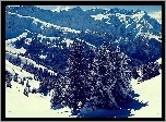 Góry, Śnieg, Zbocza, Drzewa, Zima