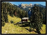 Góry, Lasy, Góralski, Domek