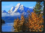 Stany Zjednoczone, Stan Wyoming, Park Narodowy Grand Teton, Góry, Szczyt Mount Moran, Drzewa, Jezioro Jackson Lake