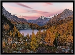 Góry, Jezioro Lagh da Val Viola, Las, Drzewa, Jesień, Dolina Val Poschiavo, Kanton Gryzonia, Szwajcaria
