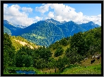 Góry, Lasy, Jeziorko, Szwajcaria