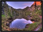 Jeziorko, Góry, Lasy