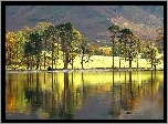 Jezioro, Góry, Drzewa
