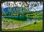 Góry, Las, Jezioro, Łąka