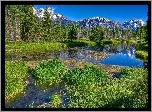 Góry, Las, Jezioro, Szuwary