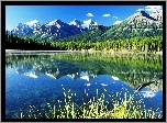 Góry, Lasy, Jezioro, Odbicie
