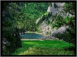 Góry, Lasy, Jezioro, Polana