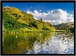 Jezioro, Góry, Mewy