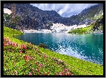 Jezioro, Góry, Roślinność